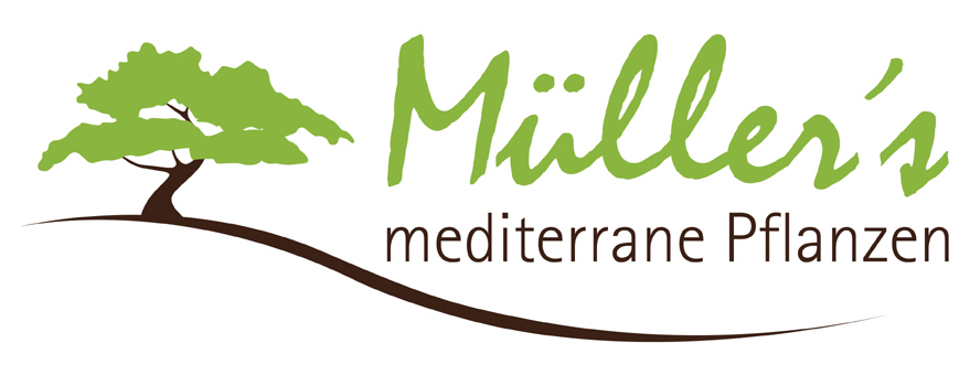 Mediterrane Pflanzen Müller