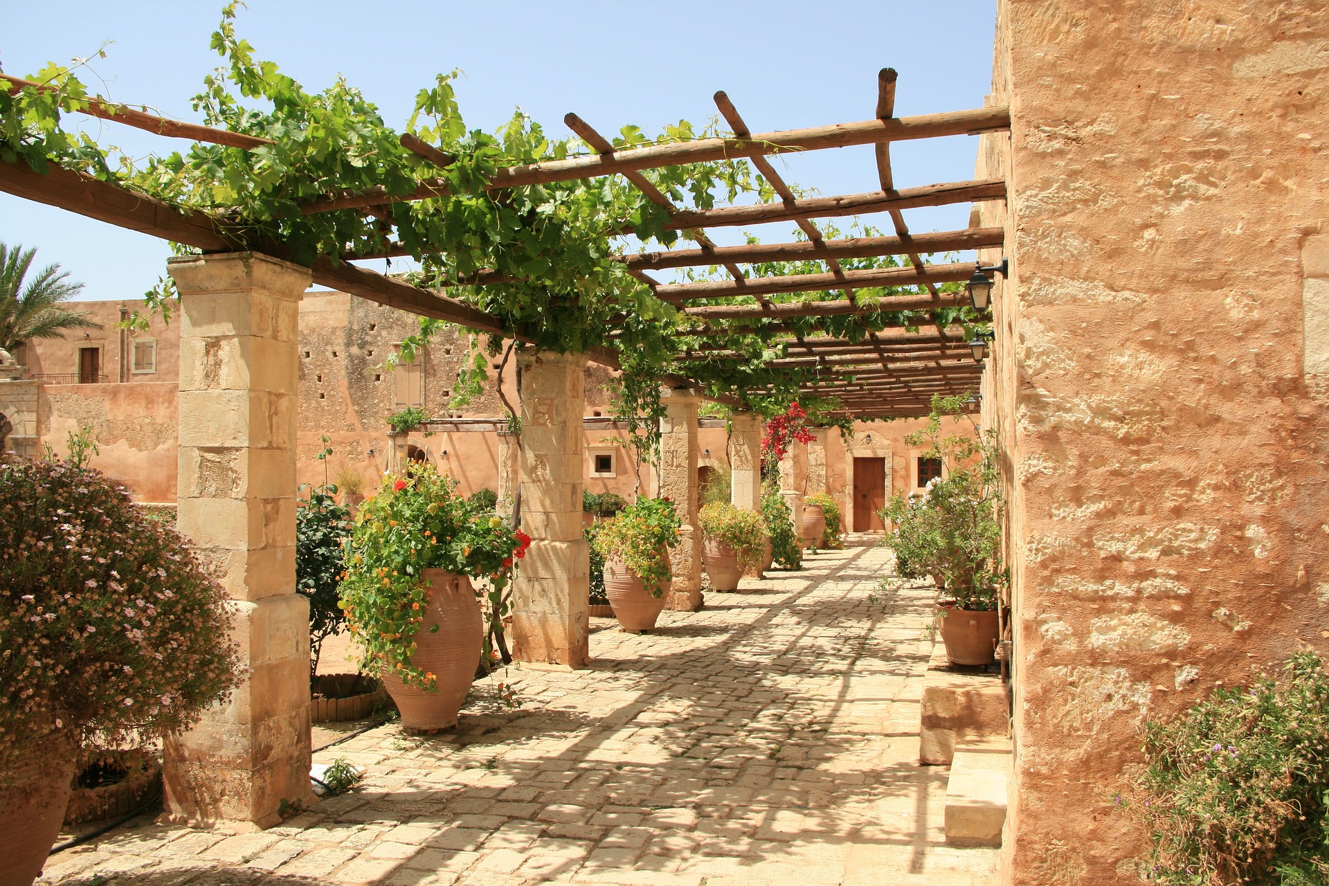 Mediterrane Pflanzen von Müller