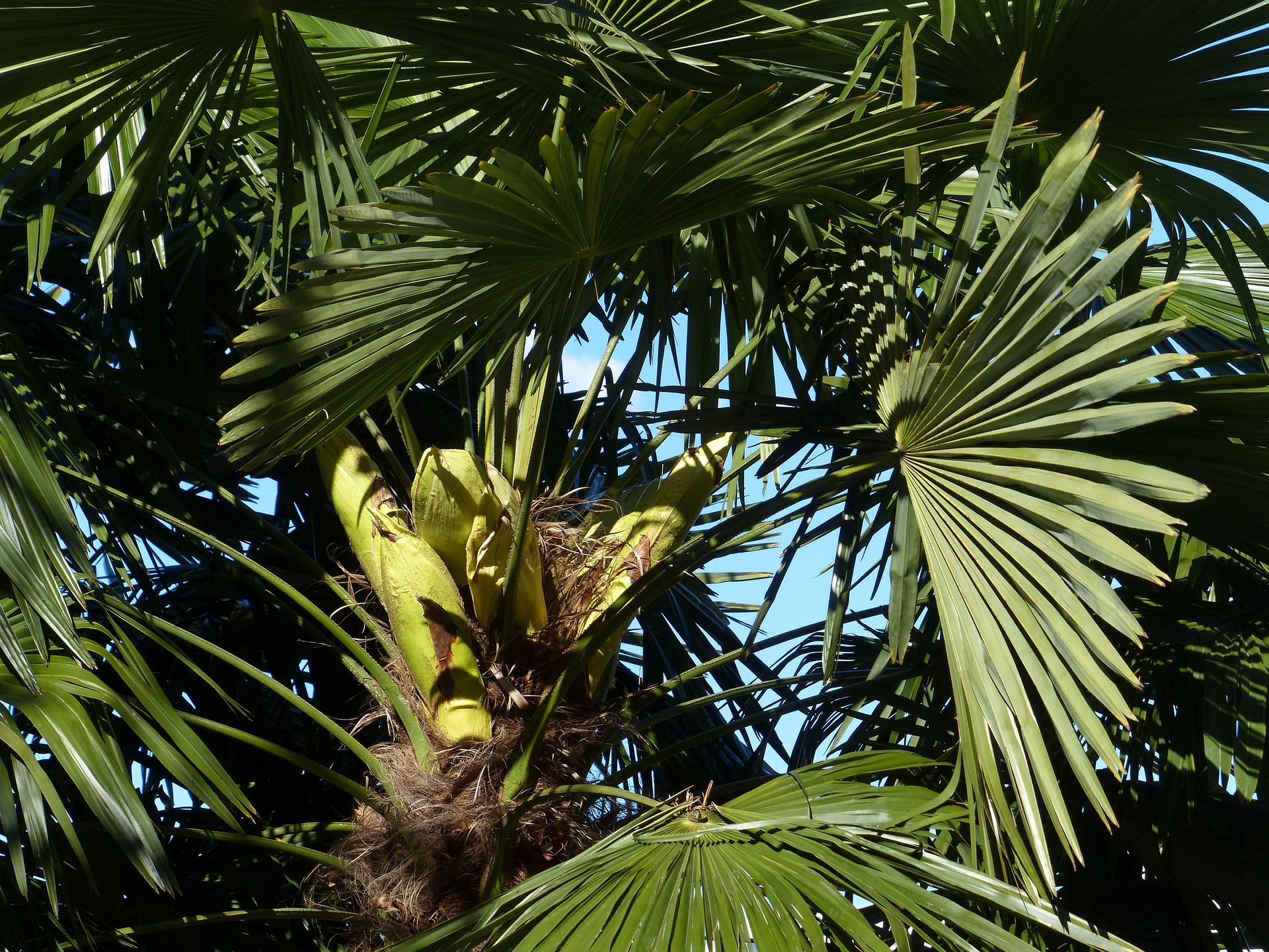 Ein Garten für die Sinne